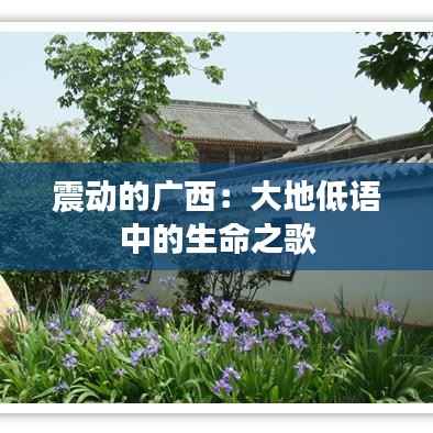 震动的广西:大地低语中的生命之歌