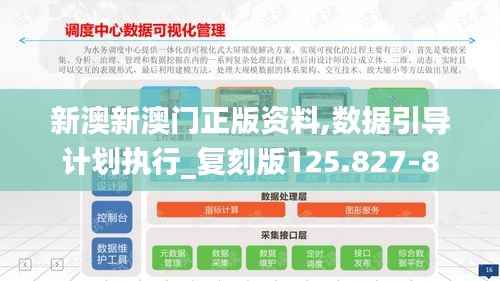 新澳新澳门正版资料,数据引导计划执行_复刻版125.827-8