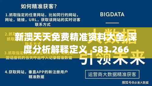 新澳天天免费精准资料大全,深度分析解释定义_S83.266