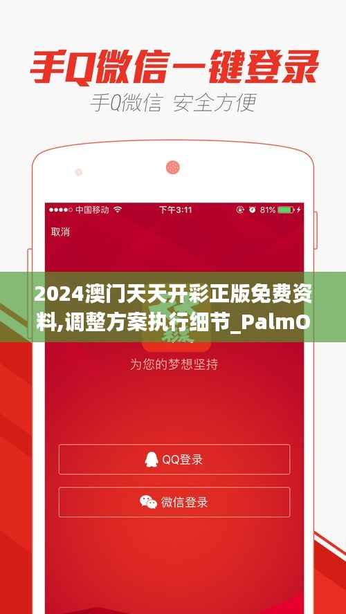 2024澳门天天开彩正版免费资料,调整方案执行细节_PalmOS9.702