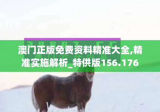 澳门正版免费资料精准大全,精准实施解析_特供版156.176