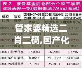 管家婆精选二肖二码,国产化作答解释定义_M版13.387