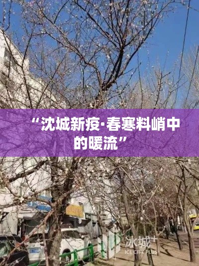 “沈城新疫·春寒料峭中的暖流”