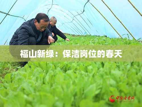 福山新绿:保洁岗位的春天