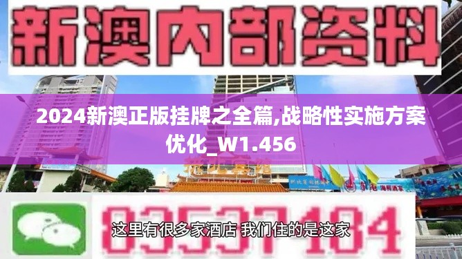 2024新澳正版挂牌之全篇,战略性实施方案优化_W1.456