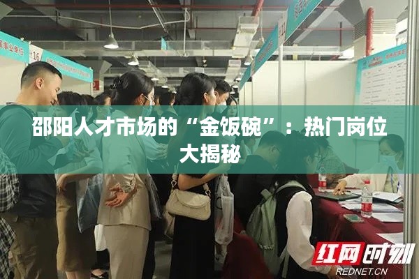 邵阳人才市场的“金饭碗”：热门岗位大揭秘