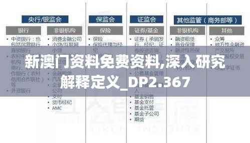 新澳门资料免费资料,深入研究解释定义_DP2.367