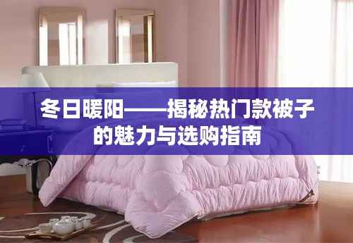 冬日暖阳——揭秘热门款被子的魅力与选购指南