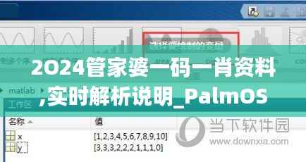 2O24管家婆一码一肖资料,实时解析说明_PalmOS110.572