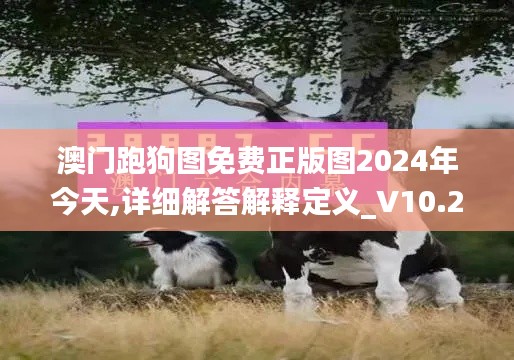 澳门跑狗图免费正版图2024年今天,详细解答解释定义_V10.240