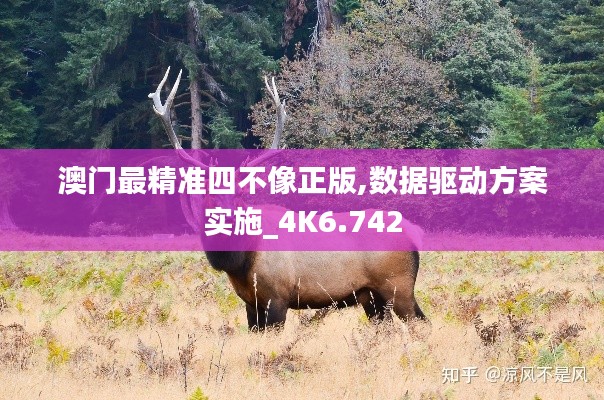 澳门最精准四不像正版,数据驱动方案实施_4K6.742