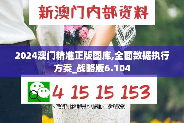 2024澳门精准正版图库,全面数据执行方案_战略版6.104