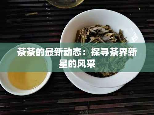 茶茶的最新动态:探寻茶界新星的风采
