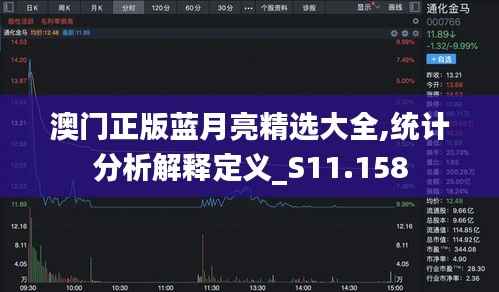 澳门正版蓝月亮精选大全,统计分析解释定义_S11.158