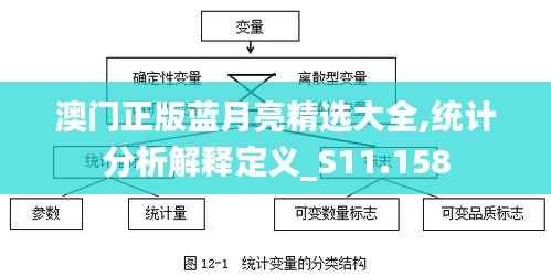 澳门正版蓝月亮精选大全,统计分析解释定义_S11.158