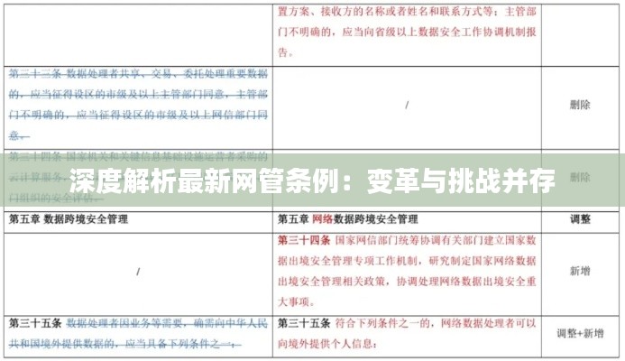 深度解析最新网管条例:变革与挑战并存