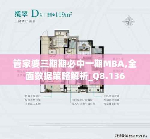 管家婆三期期必中一期MBA,全面数据策略解析_Q8.136