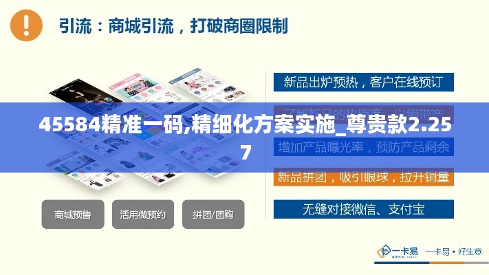 45584精准一码,精细化方案实施_尊贵款2.257