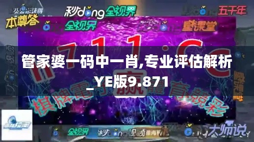 管家婆一码中一肖,专业评估解析_YE版9.871