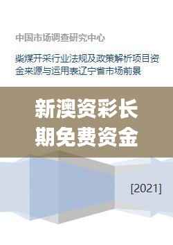 新澳资彩长期免费资金来源,快速解答设计解析_战略版2.402