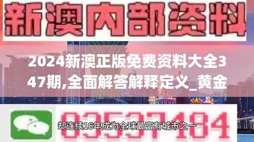 2024新澳正版免费资料大全347期,全面解答解释定义_黄金版1.313