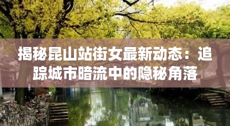 揭秘昆山站街女最新动态:追踪城市暗流中的隐秘角落