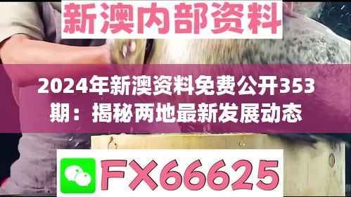 2024年新澳资料免费公开353期：揭秘两地最新发展动态