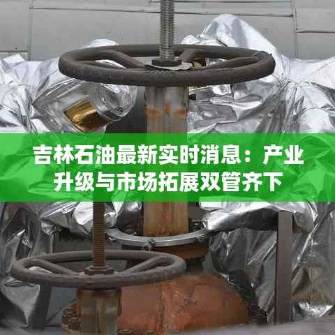 举世无双 第3页