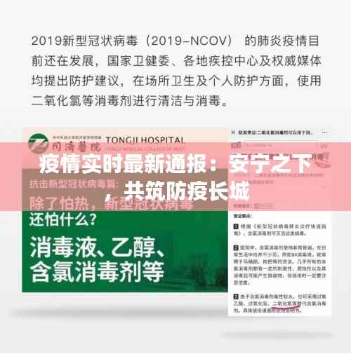 疫情实时最新通报:安宁之下,共筑防疫长城