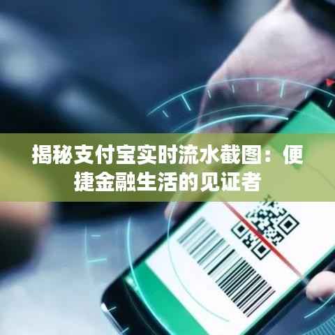 揭秘支付宝实时流水截图:便捷金融生活的见证者