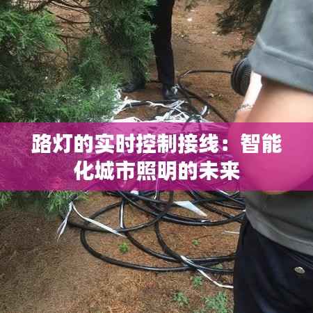 路灯的实时控制接线：智能化城市照明的未来