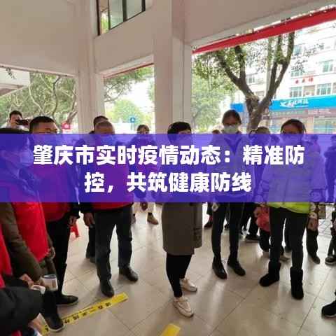 肇庆市实时疫情动态:精准防控,共筑健康防线