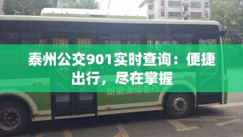 泰州公交901实时查询:便捷出行,尽在掌握