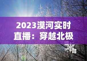 2023漠河实时直播:穿越北极光,尽享冰雪奇缘
