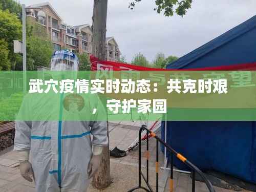 都中纸贵 第3页