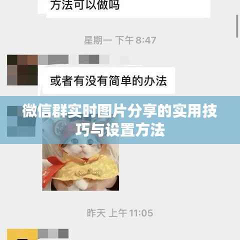 微信群实时图片分享的实用技巧与设置方法