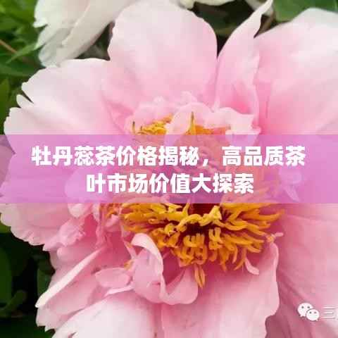 水静河飞 第4页