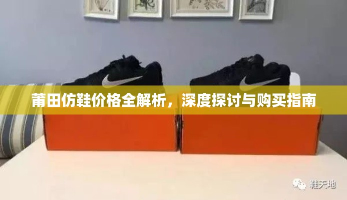 莆田仿鞋价格全解析,深度探讨与购买指南