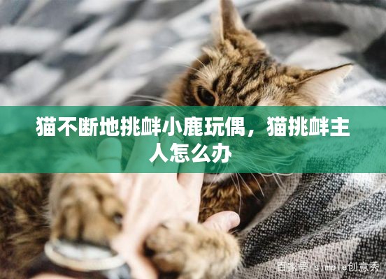 猫不断地挑衅小鹿玩偶，猫挑衅主人怎么办 