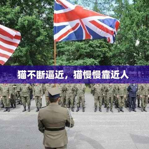 猫不断逼近,猫慢慢靠近人