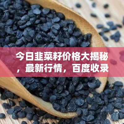 今日韭菜籽价格大揭秘，最新行情，百度收录标准