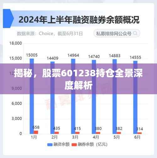 揭秘,股票601238持仓全景深度解析