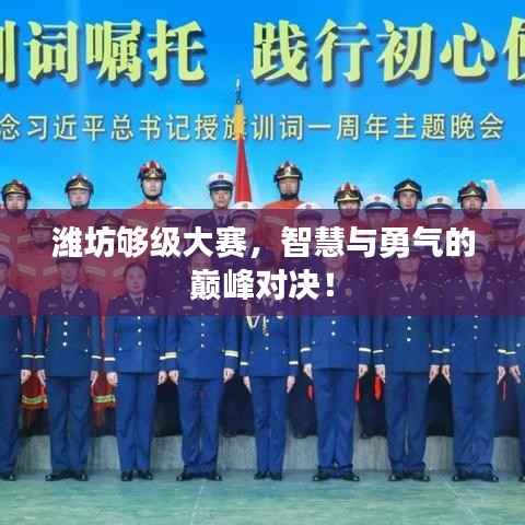 潍坊够级大赛,智慧与勇气的巅峰对决!