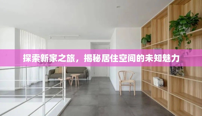 探索新家之旅,揭秘居住空间的未知魅力