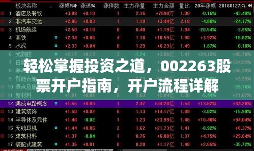 轻松掌握投资之道,002263股票开户指南,开户流程详解