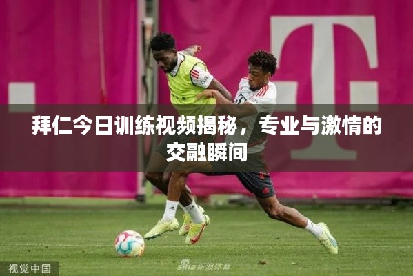 拜仁今日训练视频揭秘,专业与激情的交融瞬间