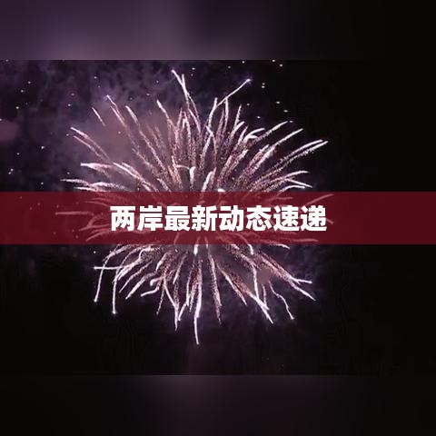 明目张胆