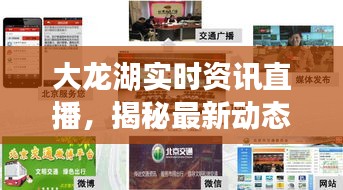 大龙湖实时资讯直播,揭秘最新动态
