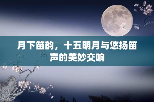 月下笛韵,十五明月与悠扬笛声的美妙交响