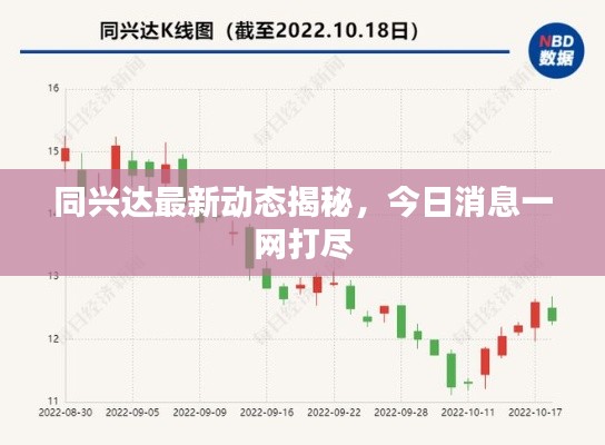 同兴达最新动态揭秘,今日消息一网打尽